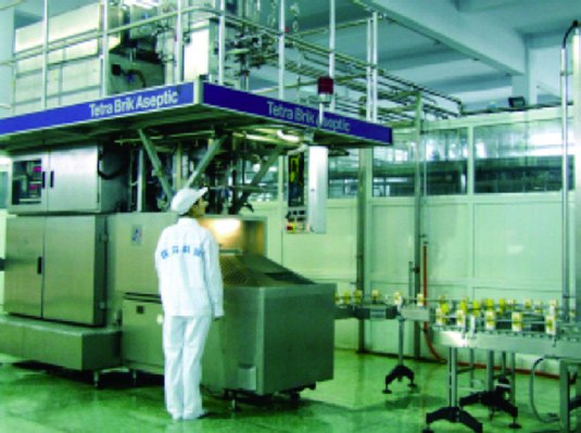 100 t/d Potato Starch Factory