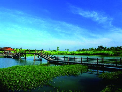 Agricultural Ecological Park — view 3