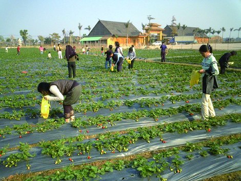 Agricultural Ecological Park — view 4