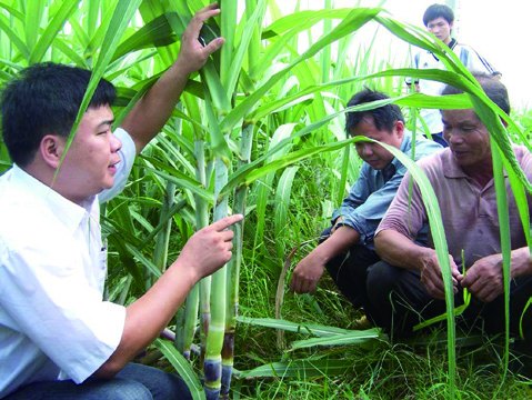 RFI training programme in the field and classroom